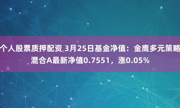 个人股票质押配资 3月25日基金净值：金鹰多元策略混合A最新净值0.7551，涨0.05%
