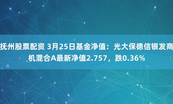 抚州股票配资 3月25日基金净值：光大保德信银发商机混合A最新净值2.757，跌0.36%