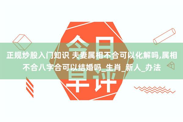 正规炒股入门知识 夫妻属相不合可以化解吗,属相不合八字合可以结婚吗_生肖_新人_办法