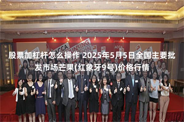 股票加杠杆怎么操作 2025年5月5日全国主要批发市场芒果(红象牙9号)价格行情