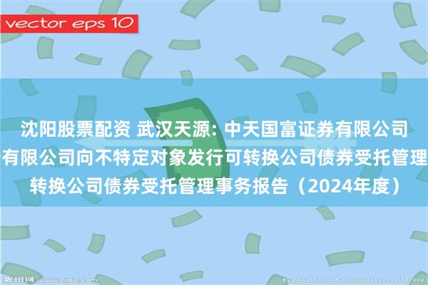 沈阳股票配资 武汉天源: 中天国富证券有限公司关于武汉天源集团股份有限公司向不特定对象发行可转换公司债券受托管理事务报告(2024年度)