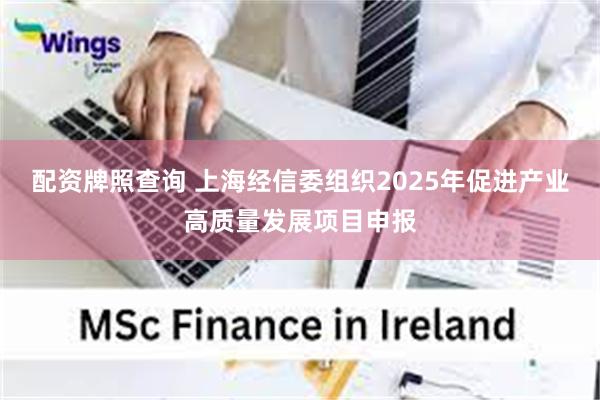 配资牌照查询 上海经信委组织2025年促进产业高质量发展项目申报