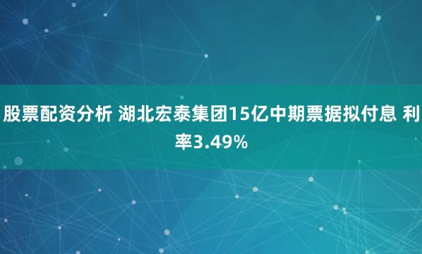 股票配资分析 湖北宏泰集团15亿中期票据拟付息 利率3.49%