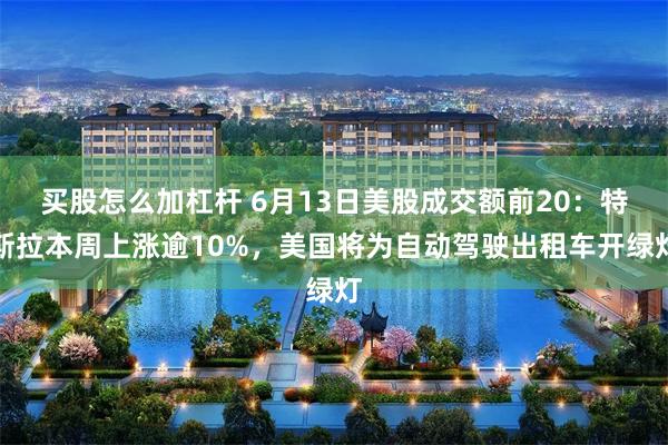 买股怎么加杠杆 6月13日美股成交额前20：特斯拉本周上涨逾10%，美国将为自动驾驶出租车开绿灯