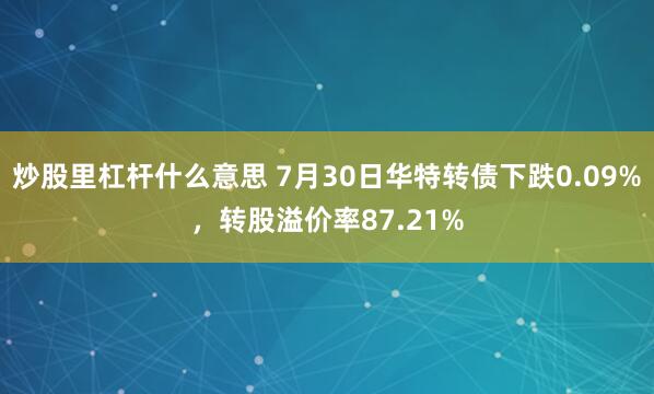 炒股里杠杆什么意思 7月30日华特转债下跌0.09%，转股溢价率87.21%