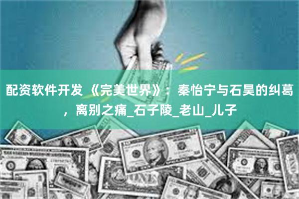 配资软件开发 《完美世界》：秦怡宁与石昊的纠葛，离别之痛_石子陵_老山_儿子