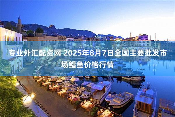 专业外汇配资网 2025年8月7日全国主要批发市场鲳鱼价格行情