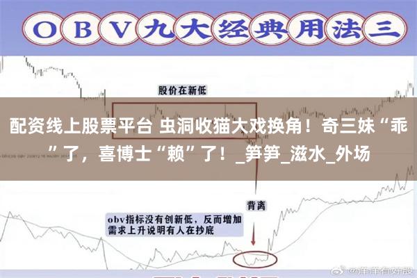 配资线上股票平台 虫洞收猫大戏换角！奇三妹“乖”了，喜博士“赖”了！_笋笋_滋水_外场