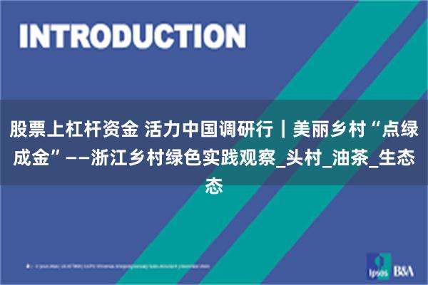 股票上杠杆资金 活力中国调研行｜美丽乡村“点绿成金”——浙江乡村绿色实践观察_头村_油茶_生态